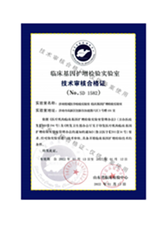 云鴻資質--技術審核合格證